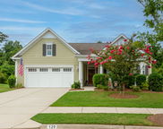 126 Citrea Drive, Summerville image