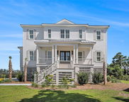1491 Tomato Farm Circle, Mount Pleasant image
