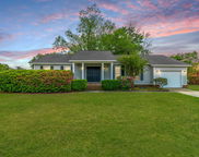 1111 Kilarney Road, Mount Pleasant image