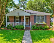 31 Lyttleton Avenue, Charleston image