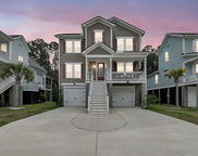 524 Amalie Farms Drive, Charleston image