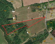 Big Buck Boulevard, Bowman image
