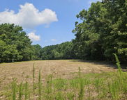 Lot 2A M W Rickenbaker Road, Summerton image
