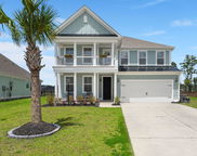 122 Riley Farms Court, Summerville image