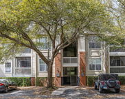 1600 Long Grove Drive Unit #1226, Mount Pleasant image