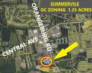 Orangeburg Road, Summerville image
