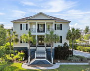 3011 River Vista Way, Mount Pleasant image
