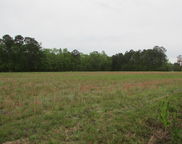 Benjamin Road, Johns Island image