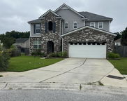 Hanahan image