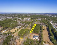 3041 Nye View Circle, Mount Pleasant image