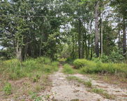 Spring Dell  Way, Saint Stephen image
