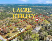 3205 Duck Pond Road, Johns Island image