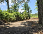 001 Flatwoods Road, Reevesville image