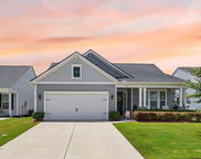 376 Tupelo Lake Drive, Summerville image