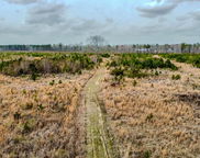 S Locust, Denmark image