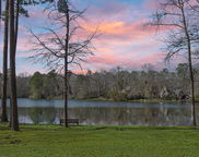 1 Santee Lakes Court, Elloree image