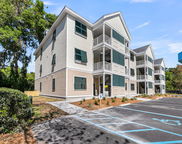 7621 Indigo Palms Way, Johns Island image