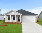 5214 Cottage Landing Drive, Summerville image