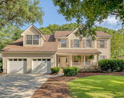 1308 Wild Olive Drive, Mount Pleasant image