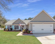 1233 Bridgeport Drive, Mount Pleasant image