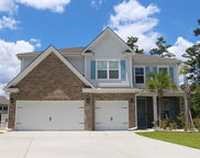 103 Granton Edge Lane, Summerville image