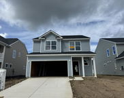 118 Shingle Oak Drive, Moncks Corner image