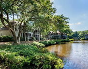 4833 Green Dolphin Way, Kiawah Island image