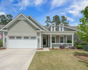 3006 Cross Vine Lane, Summerville image