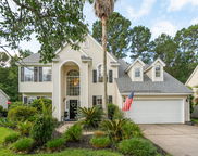 1425 Endicot Way, Mount Pleasant image