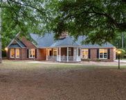 111 Coltsgate Court, Summerville image