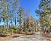 1800 Calamus Pond Road, Summerville image