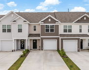 266 Ivory Shadow Road, Summerville image