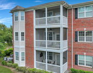 1443 Cambridge Lakes Drive, Mount Pleasant image