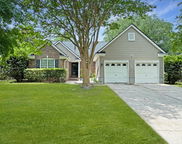 1317 Wild Olive Drive, Mount Pleasant image