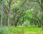 Lot 3 King Rail Lane, Edisto Island image