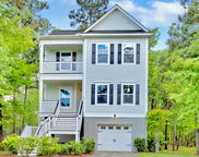 521 Sanders Farm Lane, Wando image