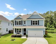 105 Plowden Mill Court, Summerville image