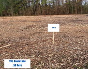 195 Acola Lane, Holly Hill image