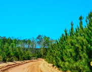 5659 Mt Pisgah Rd, Bethune image