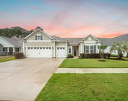 331 Fish Creek Court, Summerville image