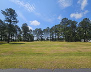 423 Pinelake Court, Manning image