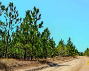 5659 Mt Pisgah Rd, Bethune image