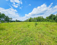 Bells Highway & Jones Swamp Highway, Walterboro image