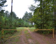 Asbury Rd & Dawkins Road, Gaffney image