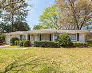 783 Dills Bluff Road, Charleston image