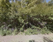 890 Flowers Lane, Edisto Island image