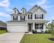 687 Black Pine Road, Moncks Corner image