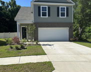 3956 Treebranch Circle, Mount Pleasant image