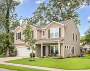 1309 Belgian Draft Drive, Mount Pleasant image