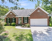 3257 Heathland Way, Mount Pleasant image
